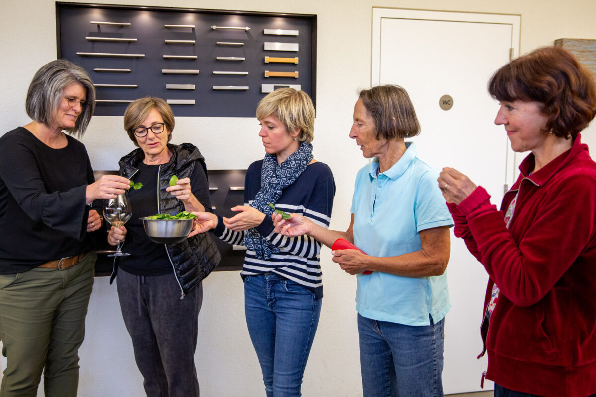 NGO, Spenden, Kambodscha, Schweiz