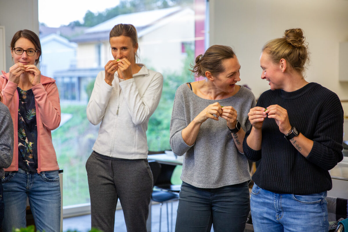 NGO, Spenden, Kambodscha, Schweiz